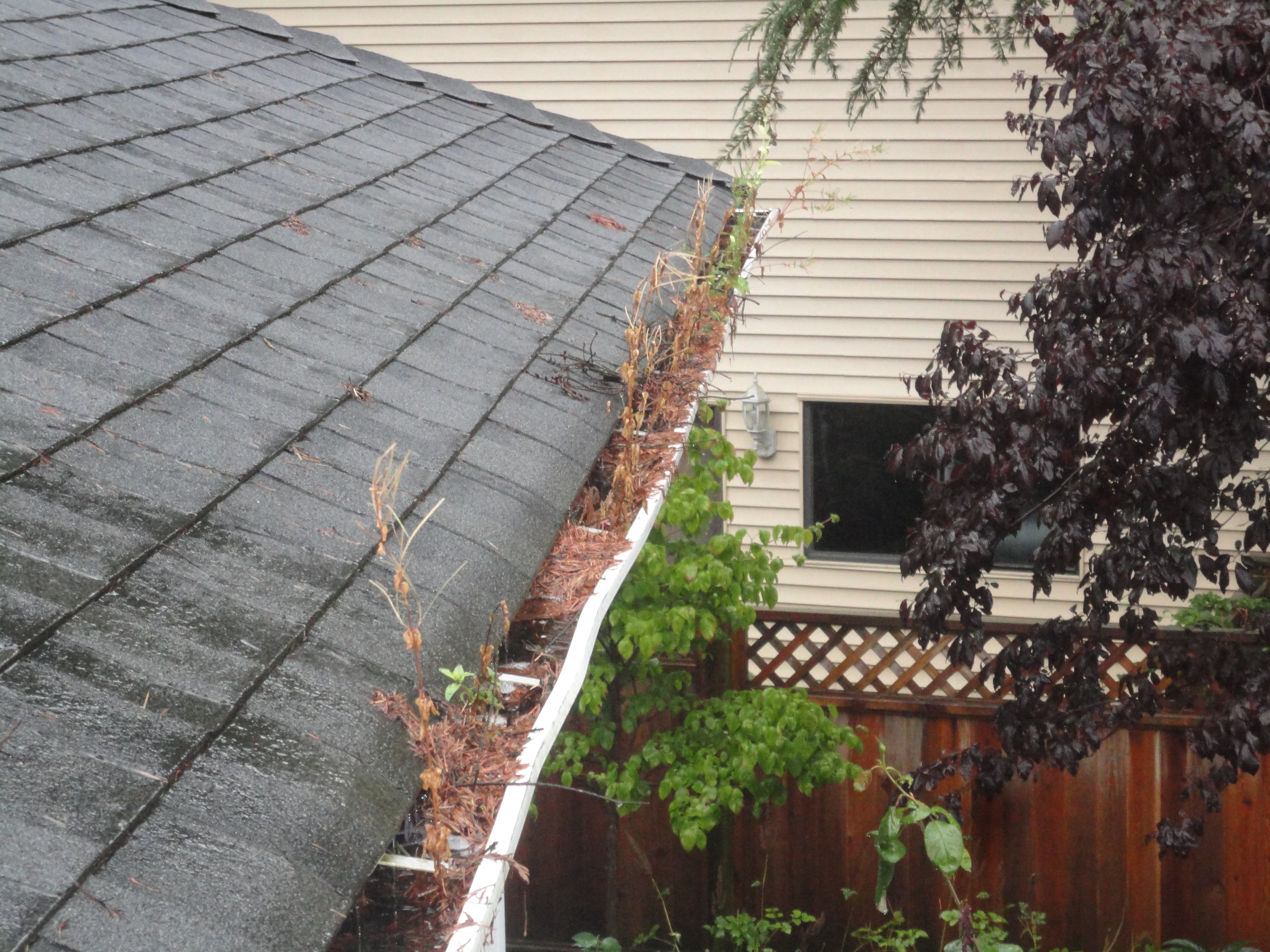 Why do Gutters Leak? Tristar Gutters